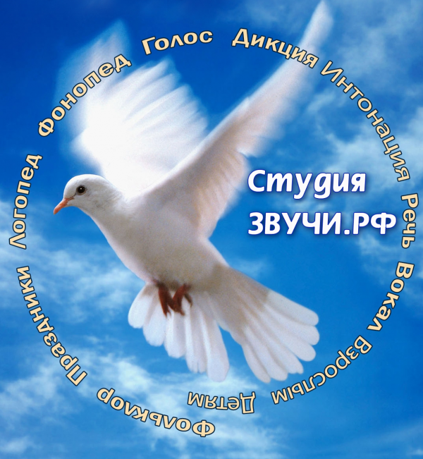 Логотип компании Звучи.рф