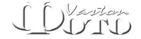 Логотип компании VASTON