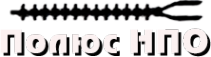 Логотип компании Полюс-НПО