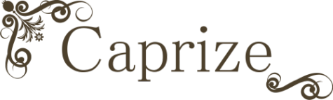 Логотип компании Caprize