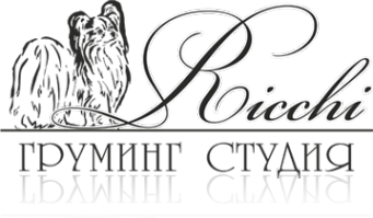 Логотип компании Риччи